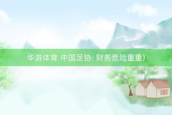 华游体育 中国足协: 财务危险重重)