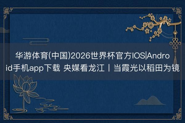 华游体育(中国)2026世界杯官方IOS|Android手机app下载 央媒看龙江丨当霞光以稻田为镜