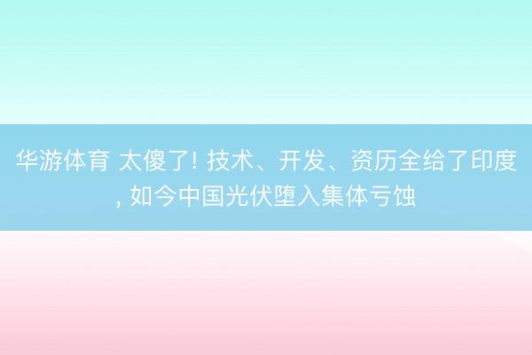 华游体育 太傻了! 技术、开发、资历全给了印度， 如今中国光伏堕入集体亏蚀