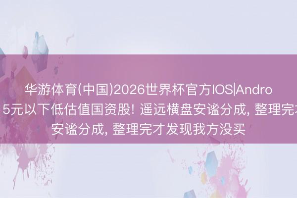 华游体育(中国)2026世界杯官方IOS|Android手机app下载 5元以下低估值国资股! 遥远横盘安谧分成， 整理完才发现我方没买