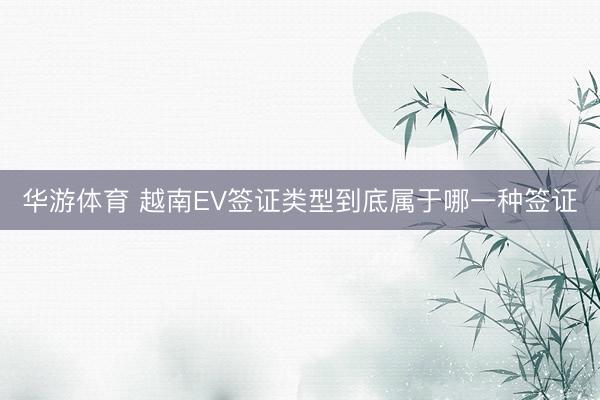 华游体育 越南EV签证类型到底属于哪一种签证