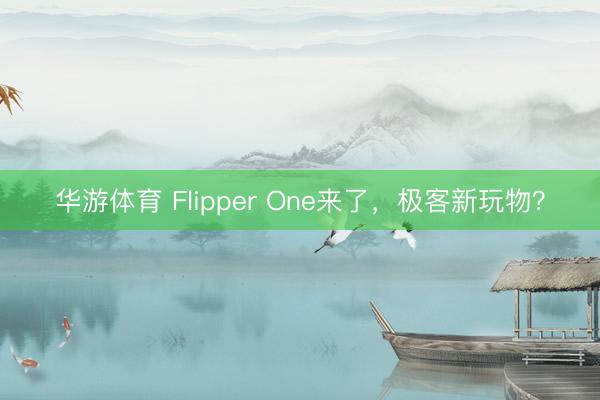 华游体育 Flipper One来了,极客新玩物?