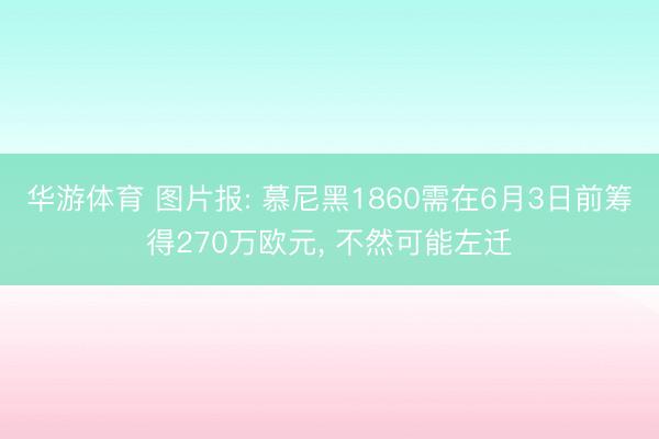 华游体育 图片报: 慕尼黑1860需在6月3日前筹得270万欧元， 不然可能左迁