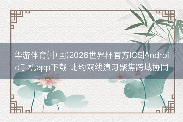 华游体育(中国)2026世界杯官方IOS|Android手机app下载 北约双线演习聚焦跨域协同