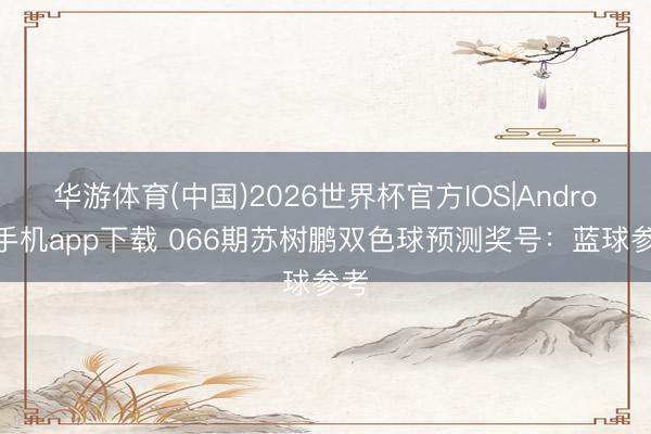 华游体育(中国)2026世界杯官方IOS|Android手机app下载 066期苏树鹏双色球预测奖号：蓝球参考