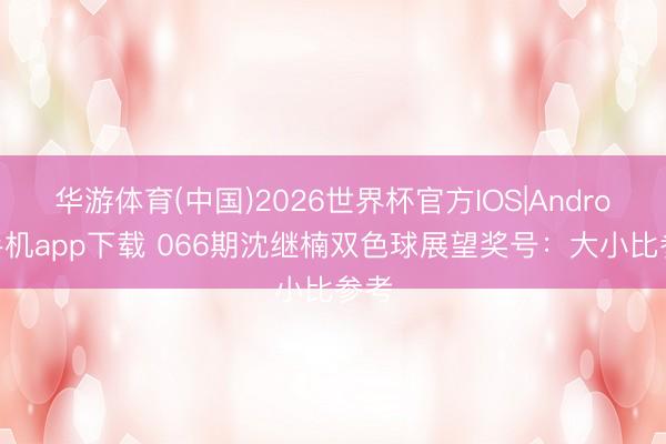 华游体育(中国)2026世界杯官方IOS|Android手机app下载 066期沈继楠双色球展望奖号：大小比参考