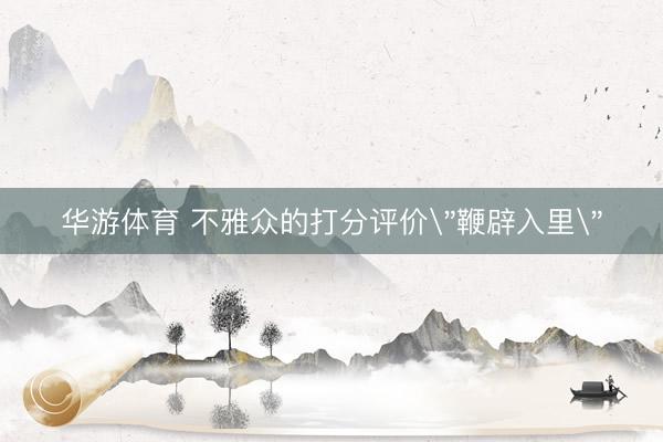 华游体育 不雅众的打分评价