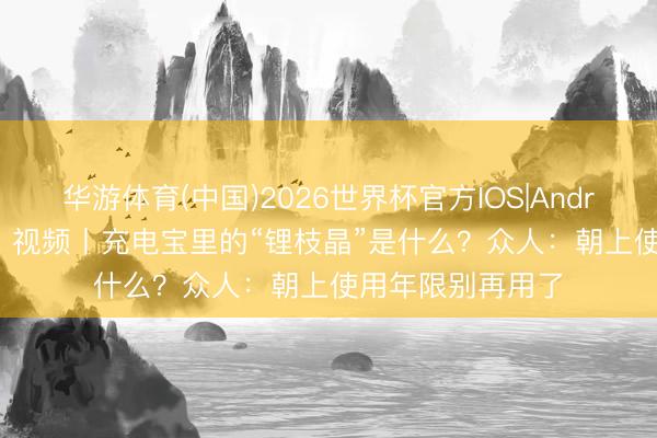 华游体育(中国)2026世界杯官方IOS|Android手机app下载 视频丨充电宝里的“锂枝晶”是什么？众人：朝上使用年限别再用了