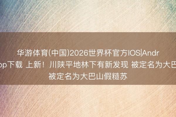 华游体育(中国)2026世界杯官方IOS|Android手机app下载 上新！川陕平地林下有新发现 被定名为大巴山假糙苏