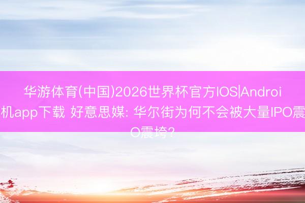 华游体育(中国)2026世界杯官方IOS|Android手机app下载 好意思媒: 华尔街为何不会被大量IPO震垮?