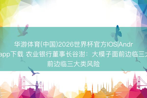 华游体育(中国)2026世界杯官方IOS|Android手机app下载 农业银行董事长谷澍：大模子面前边临三大类风险